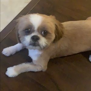 Meet your Posher, Louisa